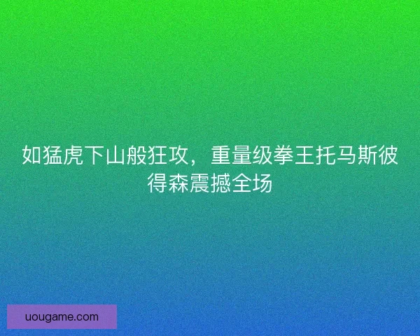 如猛虎下山般狂攻，重量级拳王托马斯彼得森震撼全场